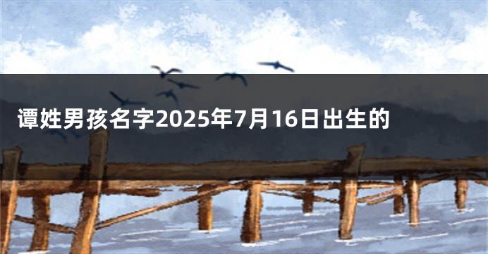 谭姓男孩名字2025年7月16日出生的