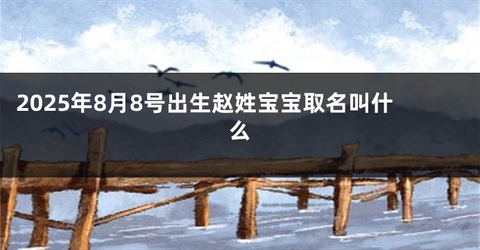 2025年8月8号出生赵姓宝宝取名叫什么