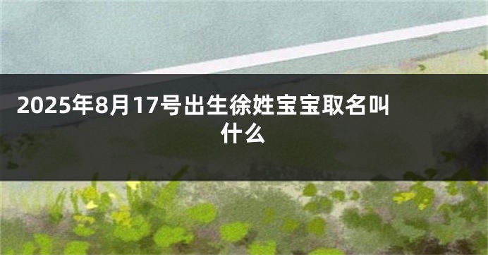 2025年8月17号出生徐姓宝宝取名叫什么