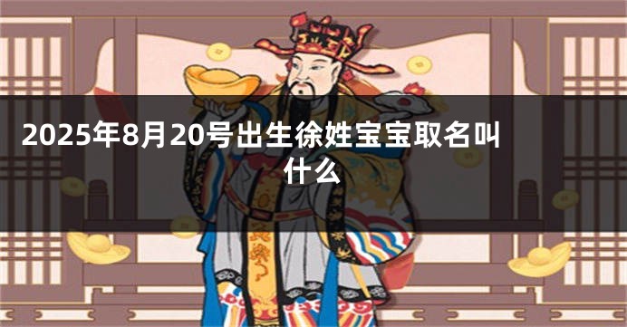 2025年8月20号出生徐姓宝宝取名叫什么