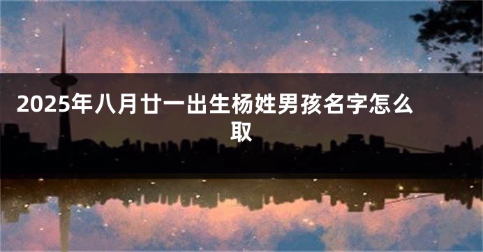 2025年八月廿一出生杨姓男孩名字怎么取