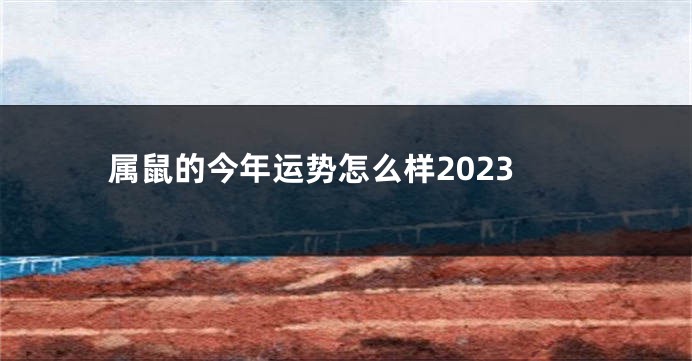 属鼠的今年运势怎么样2023