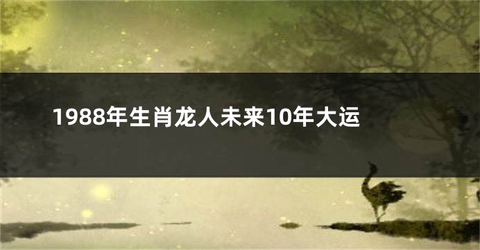 1988年生肖龙人未来10年大运