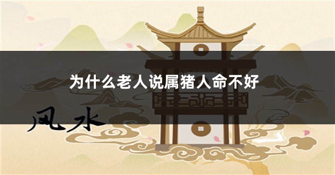 为什么老人说属猪人命不好