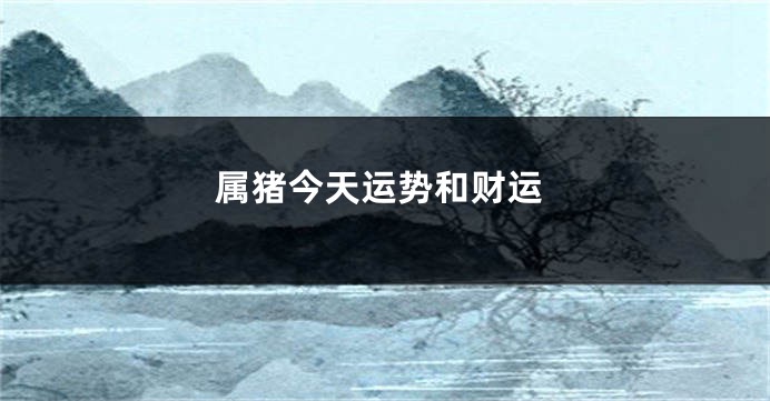属猪今天运势和财运