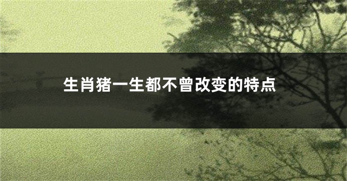 生肖猪一生都不曾改变的特点