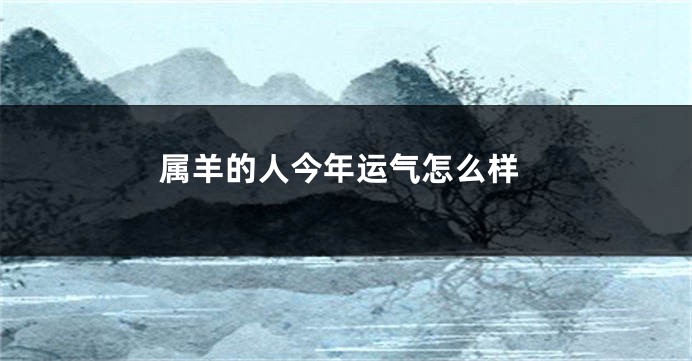 属羊的人今年运气怎么样
