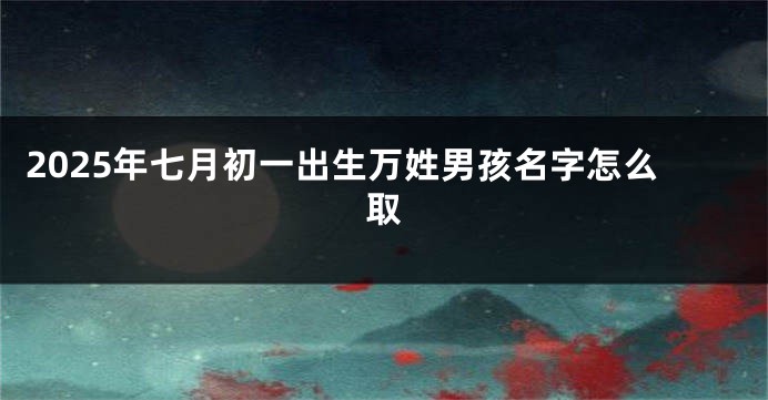 2025年七月初一出生万姓男孩名字怎么取