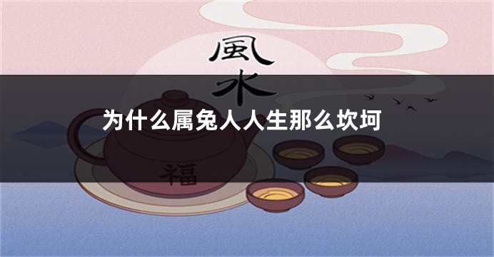 为什么属兔人人生那么坎坷