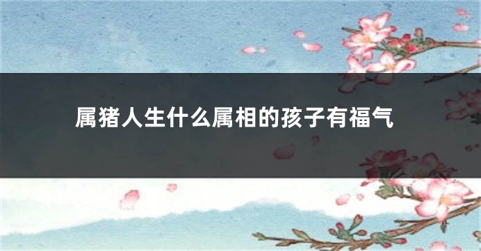 属猪人生什么属相的孩子有福气
