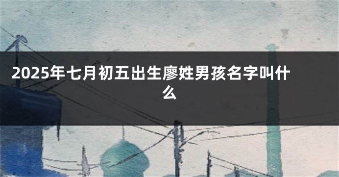 2025年七月初五出生廖姓男孩名字叫什么