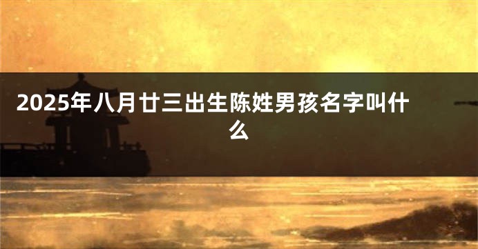 2025年八月廿三出生陈姓男孩名字叫什么