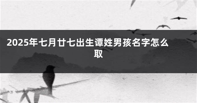 2025年七月廿七出生谭姓男孩名字怎么取