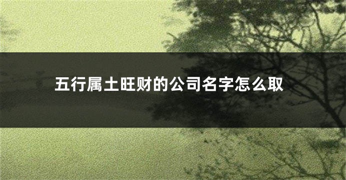 五行属土旺财的公司名字怎么取