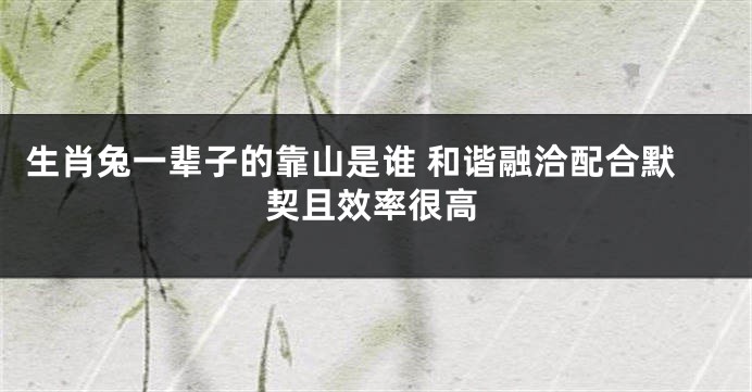 生肖兔一辈子的靠山是谁 和谐融洽配合默契且效率很高