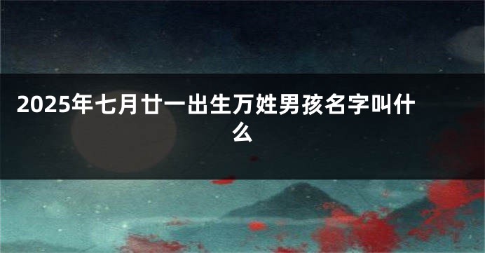 2025年七月廿一出生万姓男孩名字叫什么
