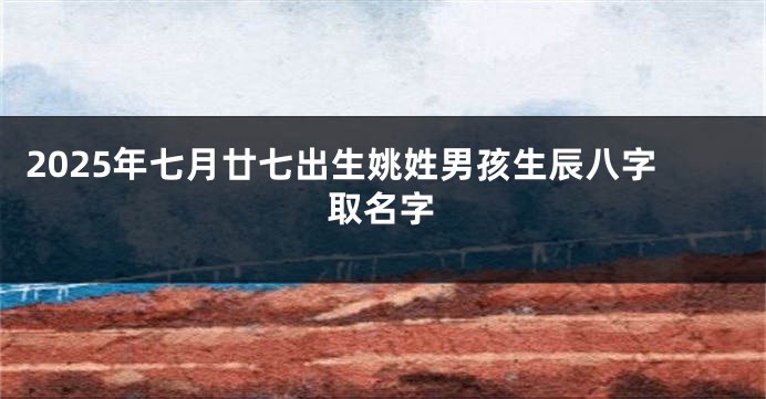 2025年七月廿七出生姚姓男孩生辰八字取名字
