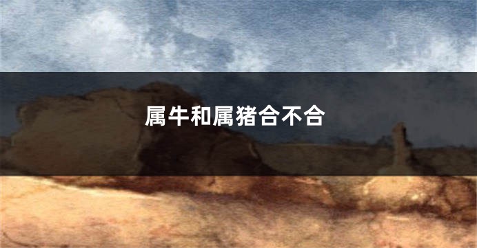 属牛和属猪合不合