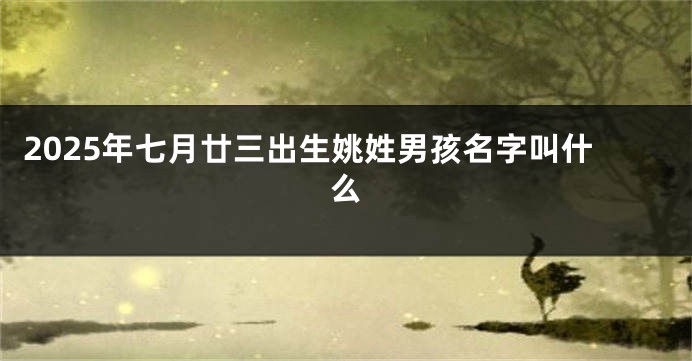 2025年七月廿三出生姚姓男孩名字叫什么