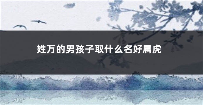 姓万的男孩子取什么名好属虎