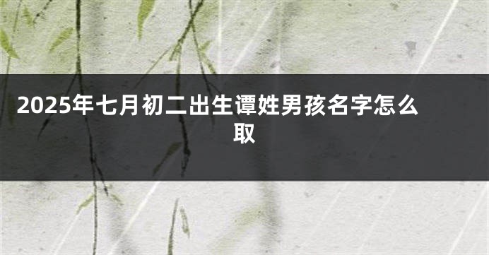 2025年七月初二出生谭姓男孩名字怎么取