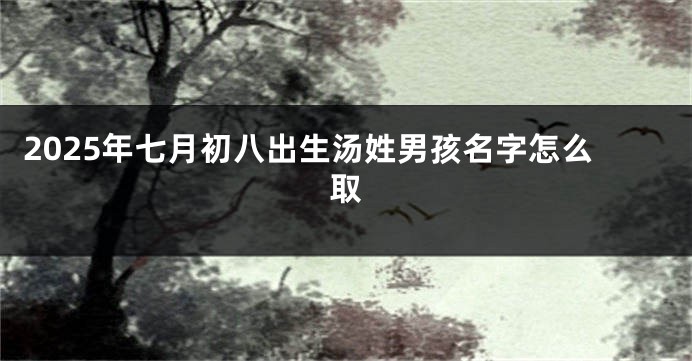 2025年七月初八出生汤姓男孩名字怎么取
