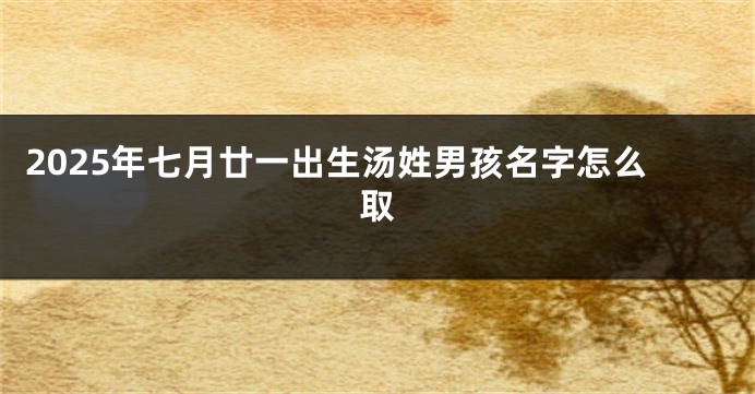 2025年七月廿一出生汤姓男孩名字怎么取