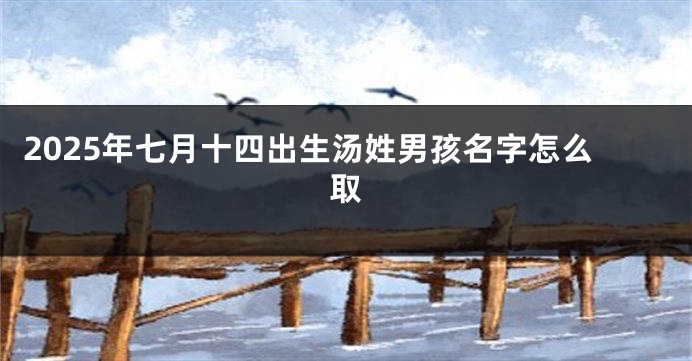 2025年七月十四出生汤姓男孩名字怎么取