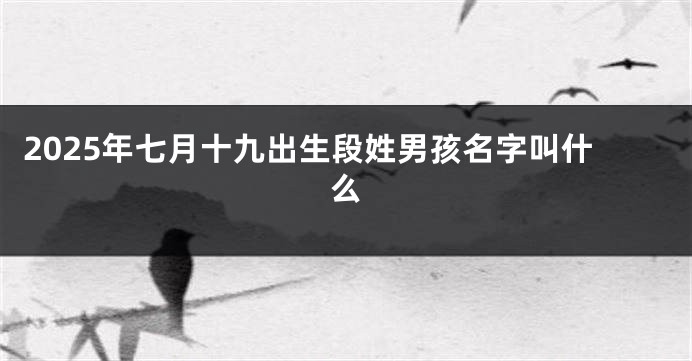 2025年七月十九出生段姓男孩名字叫什么