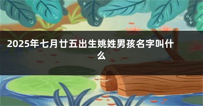 2025年七月廿五出生姚姓男孩名字叫什么