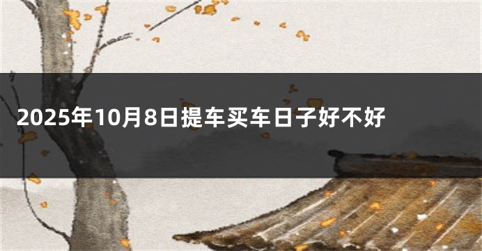 2025年10月8日提车买车日子好不好