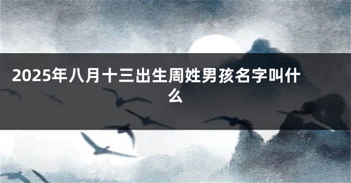 2025年八月十三出生周姓男孩名字叫什么
