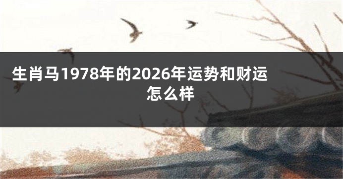 生肖马1978年的2026年运势和财运怎么样