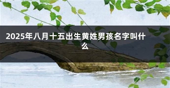 2025年八月十五出生黄姓男孩名字叫什么