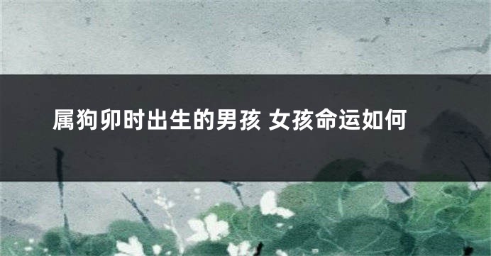 属狗卯时出生的男孩 女孩命运如何