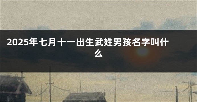 2025年七月十一出生武姓男孩名字叫什么