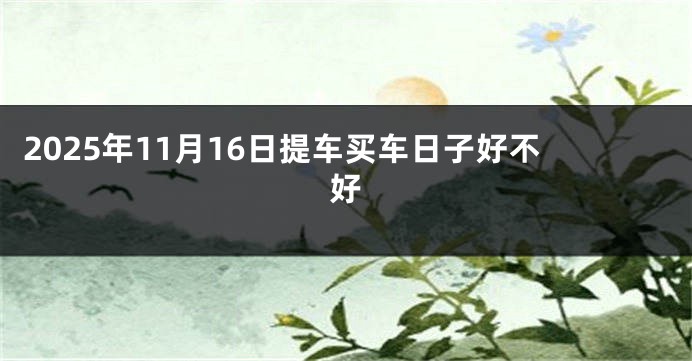 2025年11月16日提车买车日子好不好