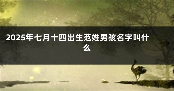 2025年七月十四出生范姓男孩名字叫什么