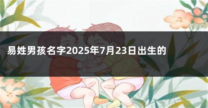 易姓男孩名字2025年7月23日出生的