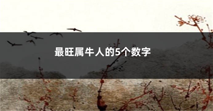 最旺属牛人的5个数字