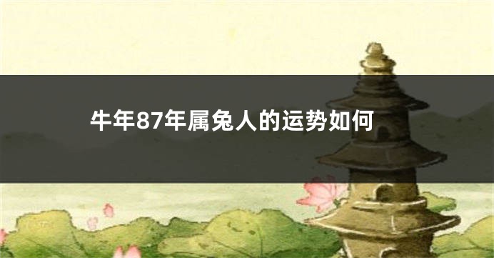 牛年87年属兔人的运势如何