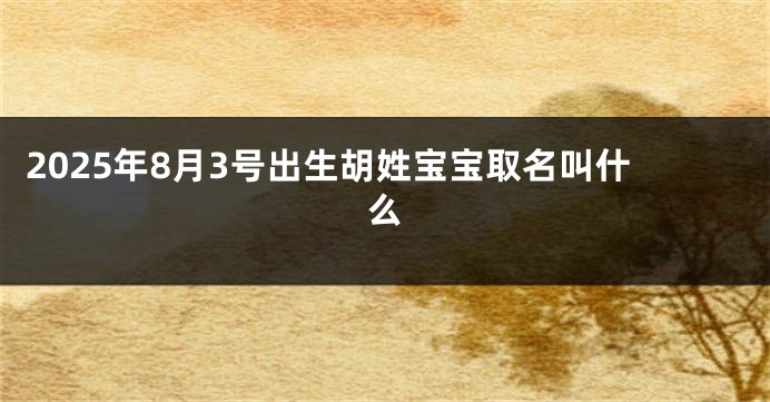 2025年8月3号出生胡姓宝宝取名叫什么