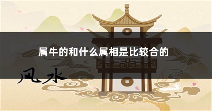 属牛的和什么属相是比较合的