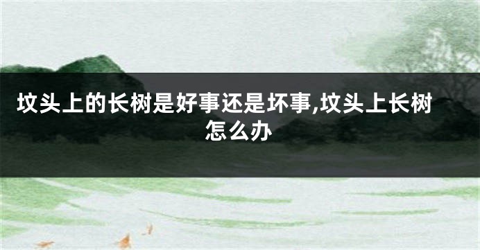 坟头上的长树是好事还是坏事,坟头上长树怎么办