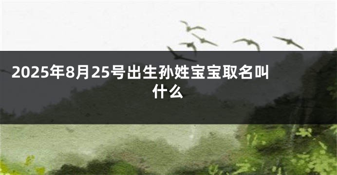 2025年8月25号出生孙姓宝宝取名叫什么