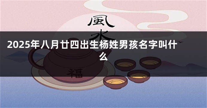 2025年八月廿四出生杨姓男孩名字叫什么