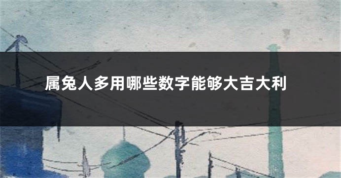 属兔人多用哪些数字能够大吉大利