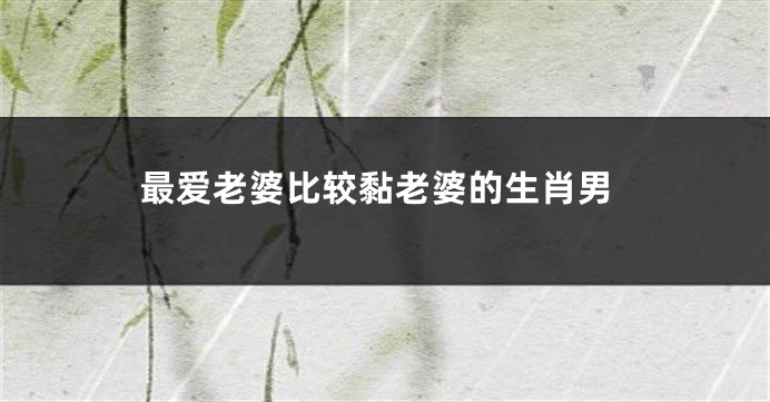 最爱老婆比较黏老婆的生肖男
