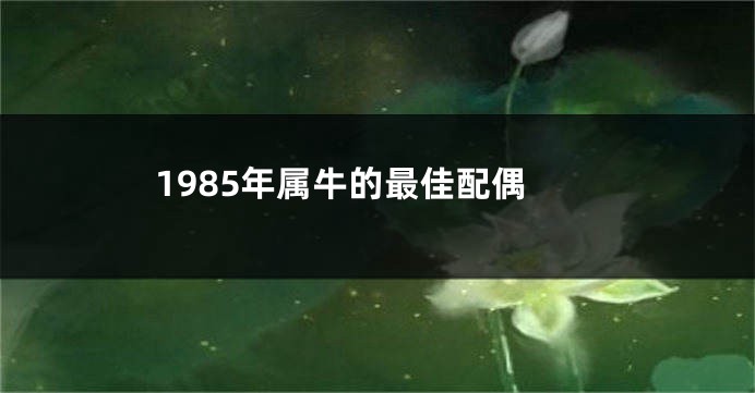 1985年属牛的最佳配偶