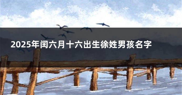 2025年闰六月十六出生徐姓男孩名字
